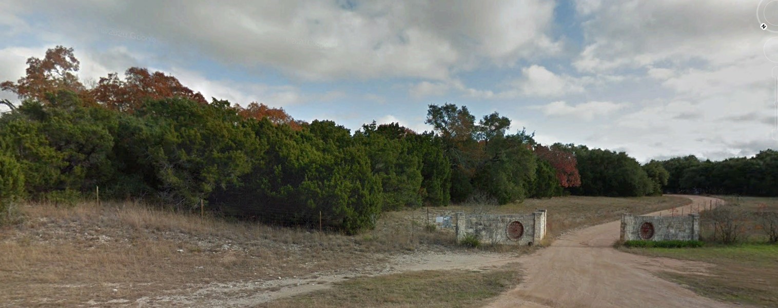 a view of a dry yard with trees