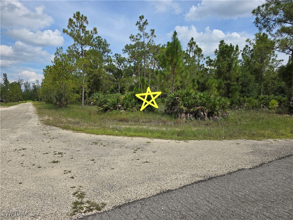 a view of a park