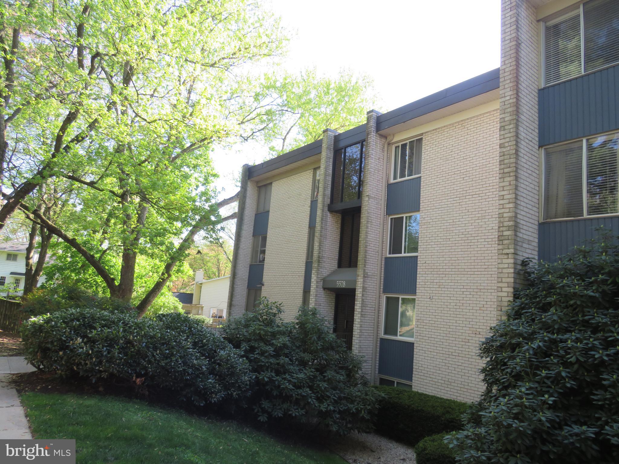 a backyard of a house with plants and tree