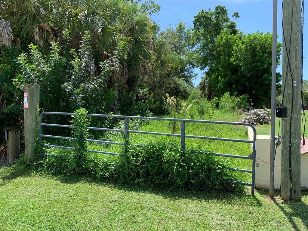 a view of a park with large trees and a wooden fence