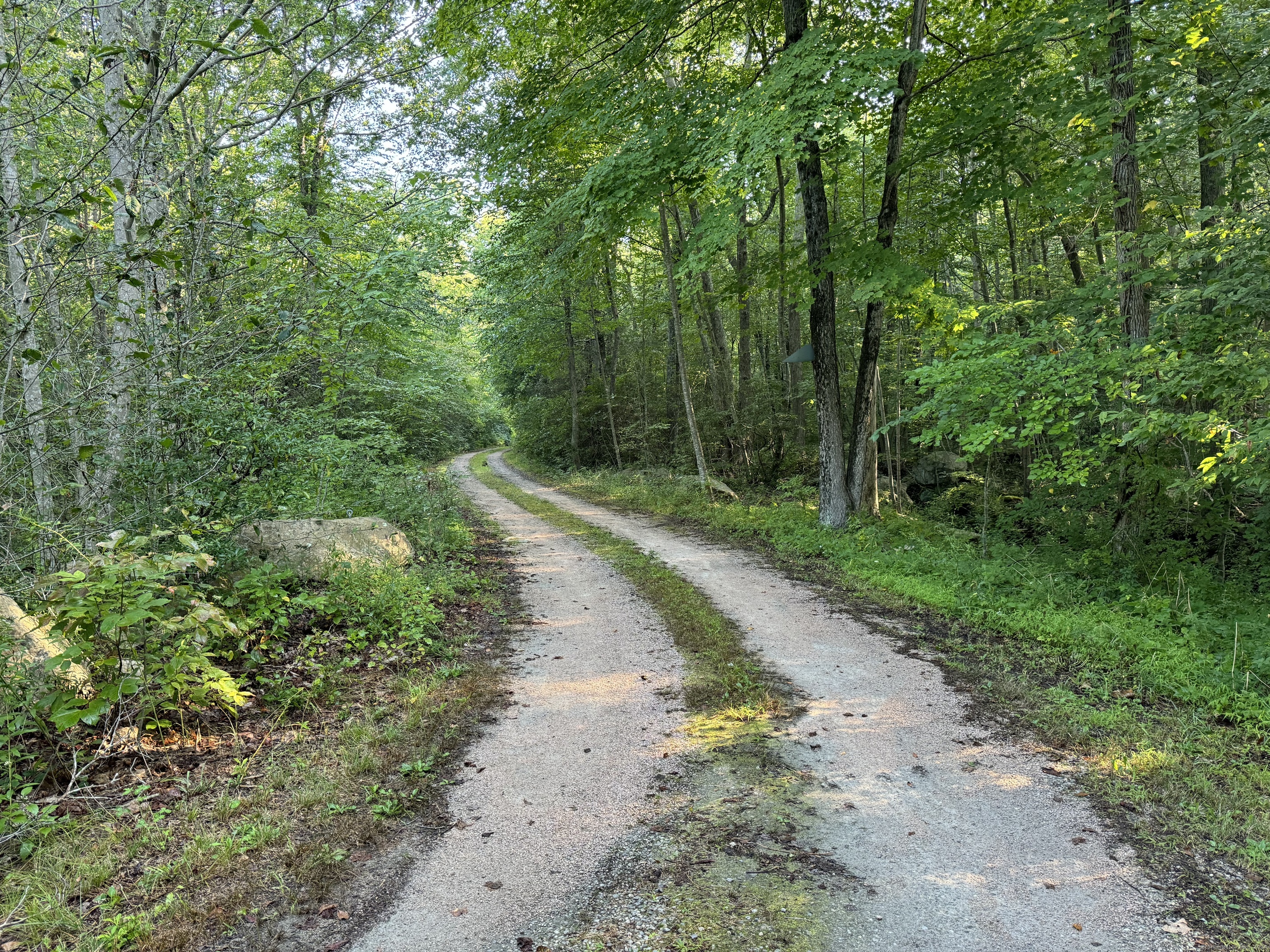 a view of a road with a trees in the background