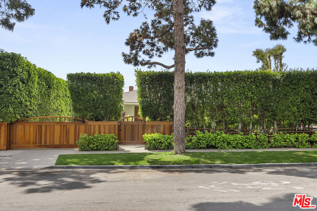 a view of a back yard