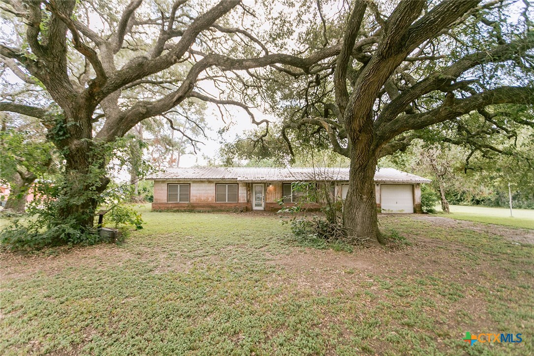 a house that has tree in front of it