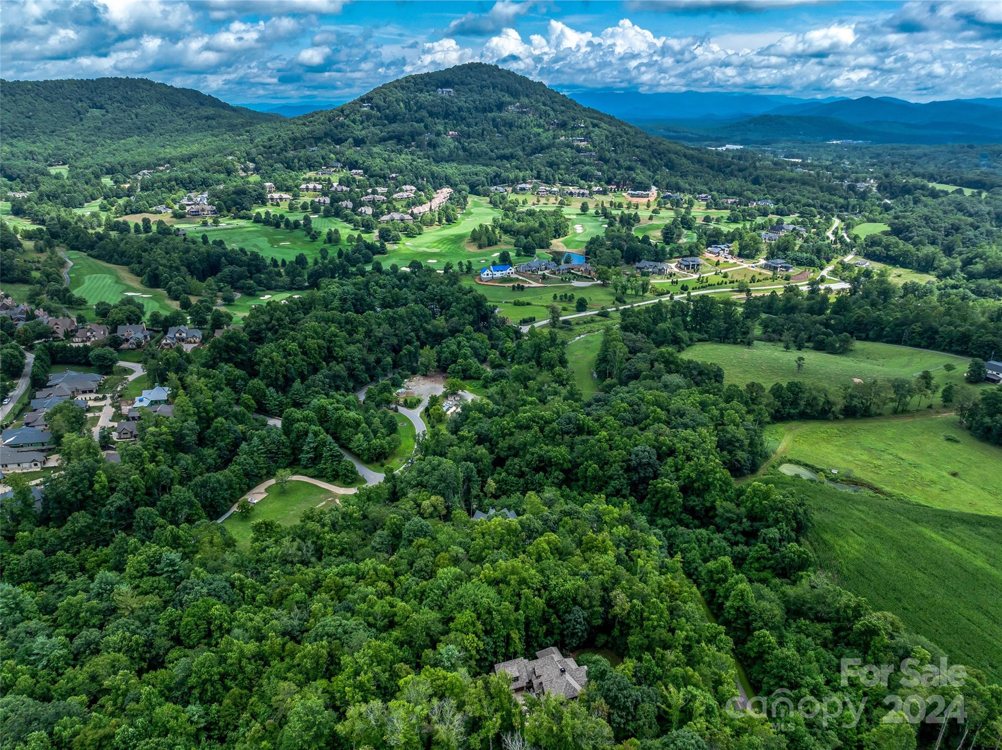 a view of a city with lush green forest