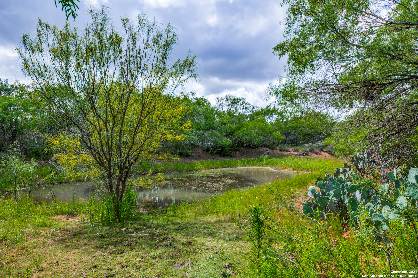 a view of a lake with a yard