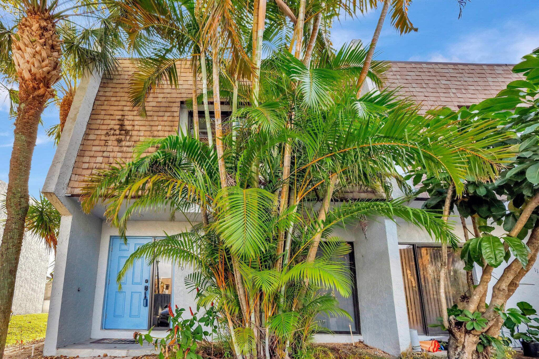 a view of a palm plants next to a building