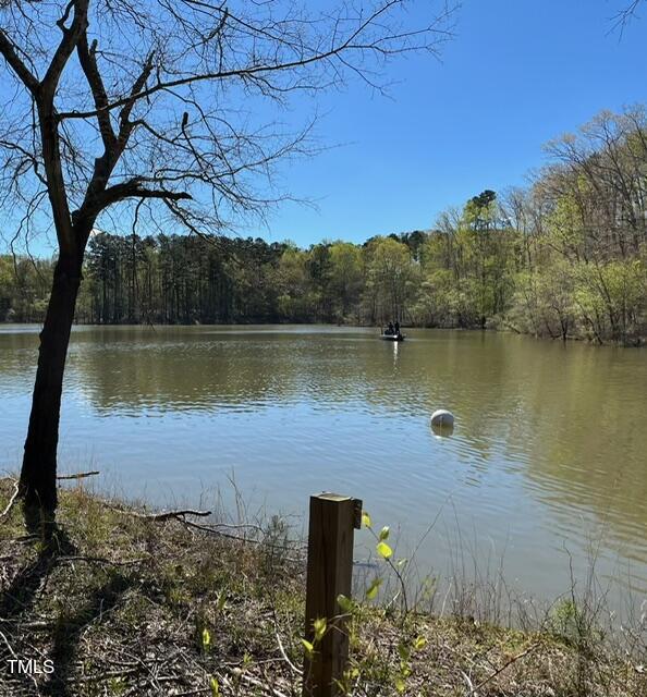 a view of a lake with a mountain in the background