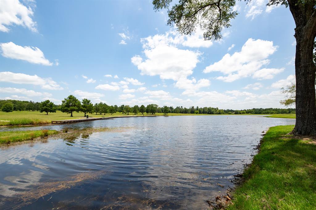 a view of a lake with a city view