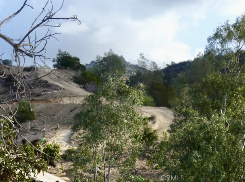 a view of a lot of trees and bushes