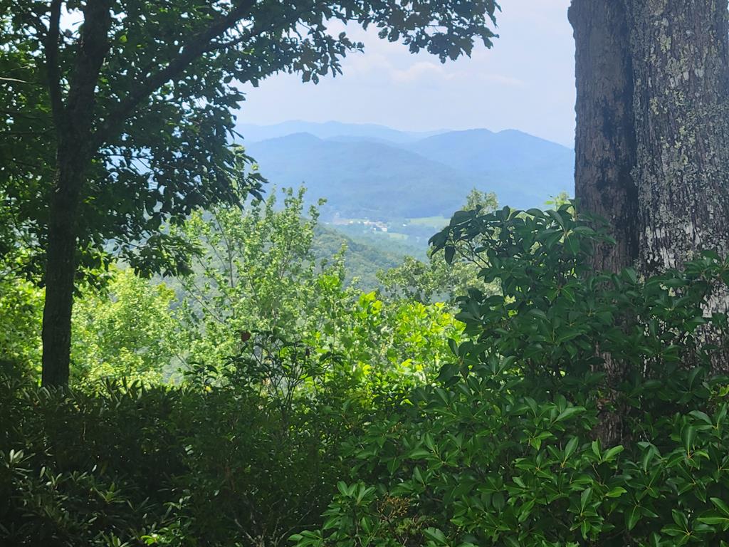 a view of a yard with a tree in the background