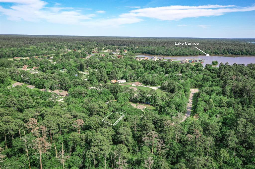 a view of a city with lush green forest