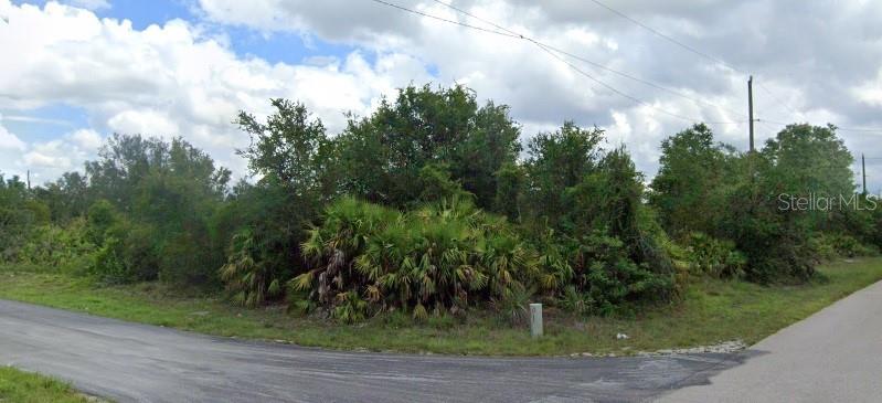 a view of a yard