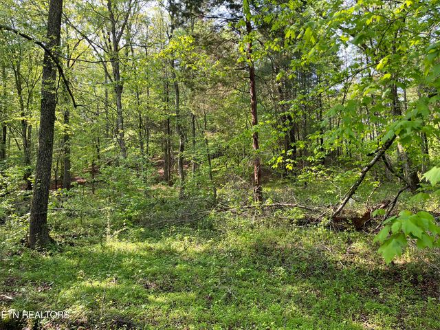 $29,900 | Lot 4 Womac Hollow Road