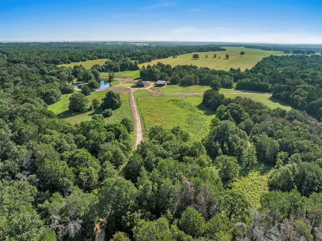 an aerial view of residential houses with outdoor space and trees