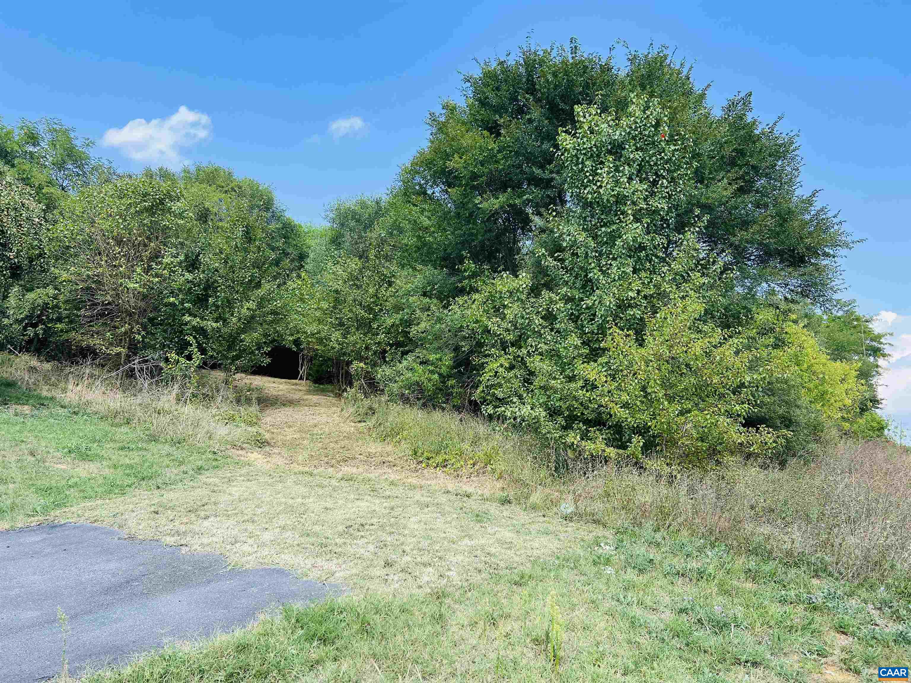 a view of a yard with a tree