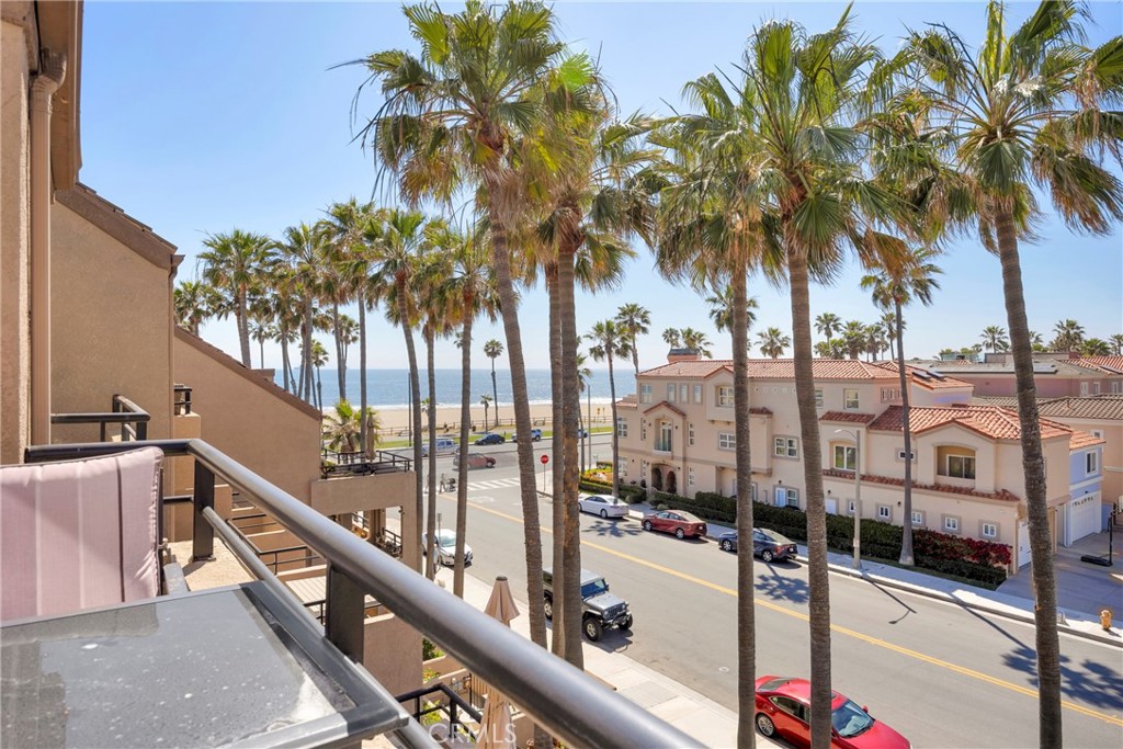 a view of a balcony with a palm tree