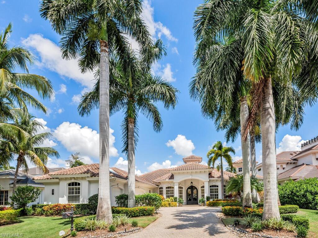 Palm tree driveway entrance to your home