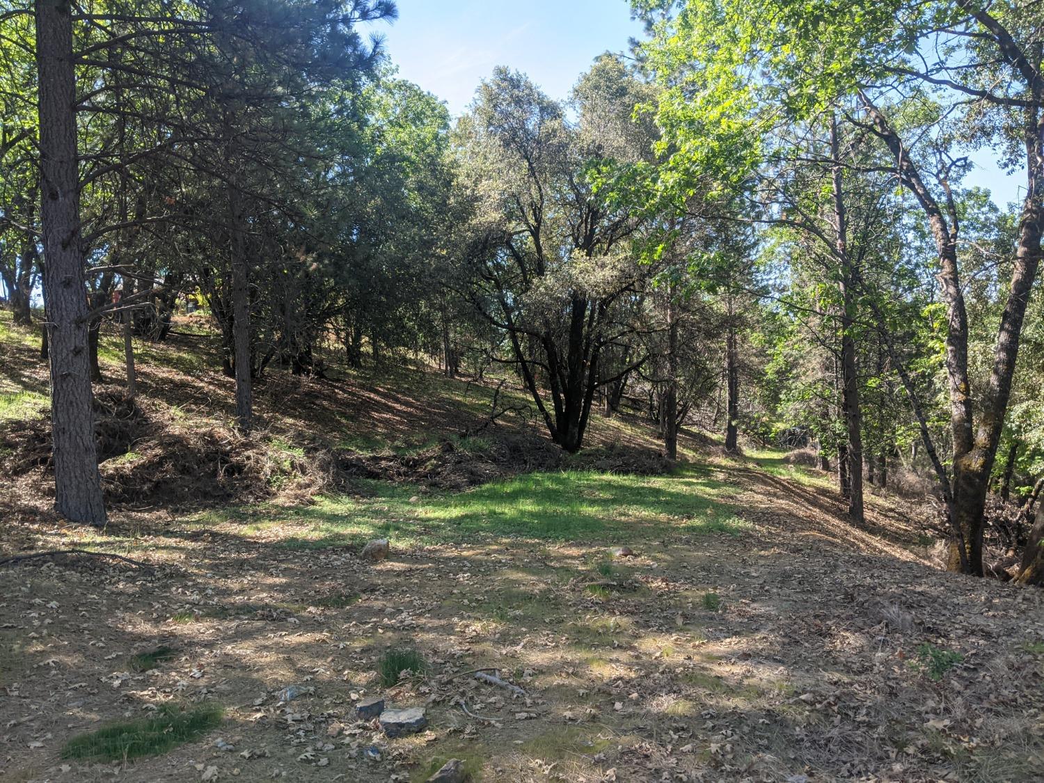 a view of outdoor space and yard