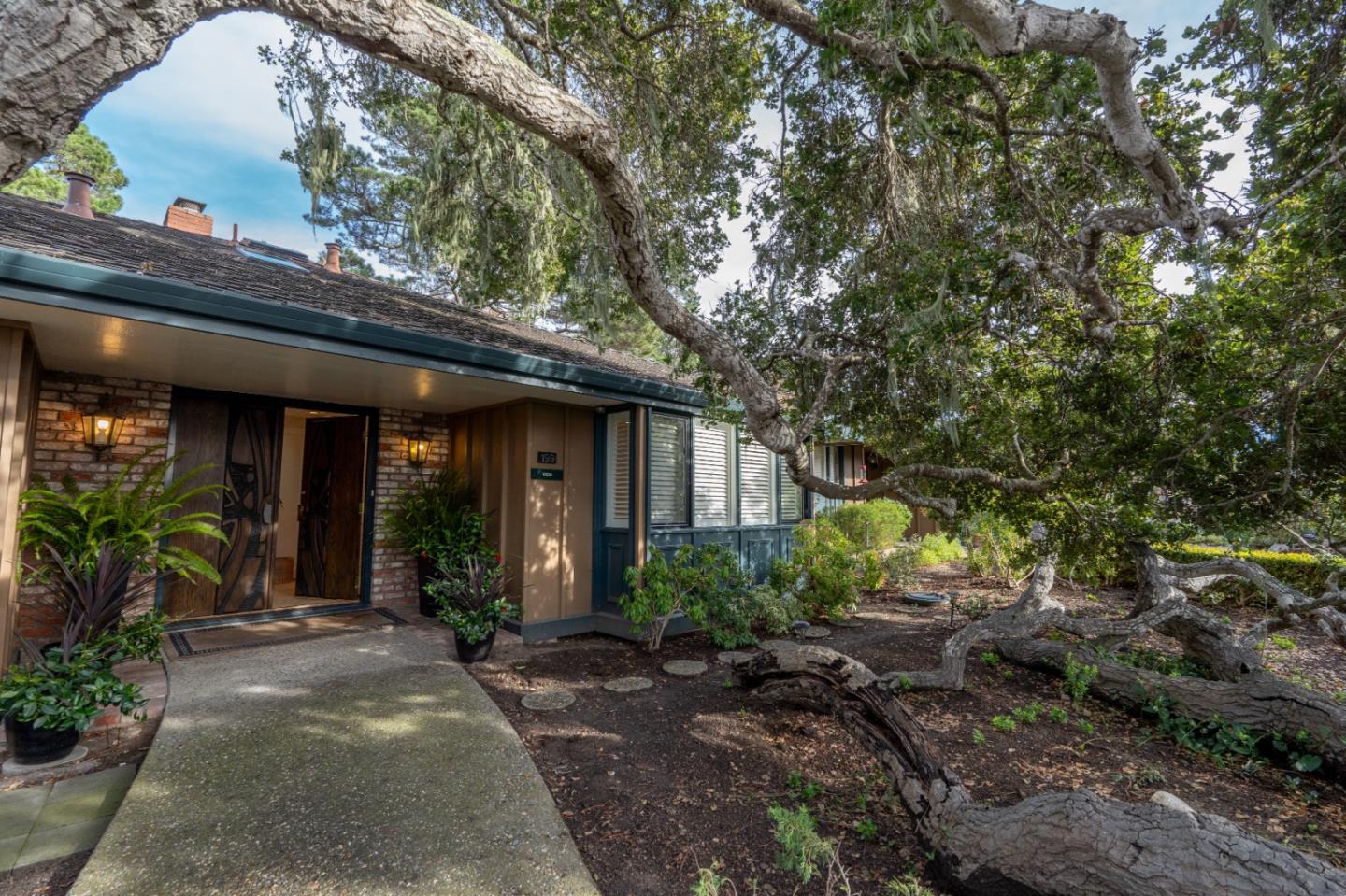 a view of a house with potted plants and a large tree