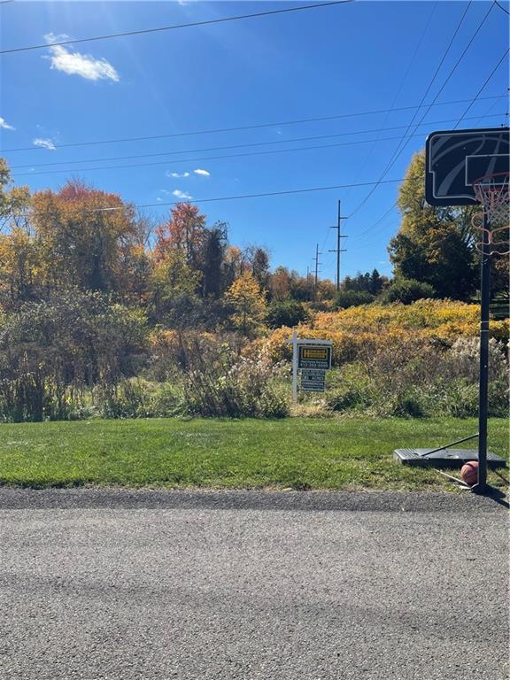 a view of a field with a big yard