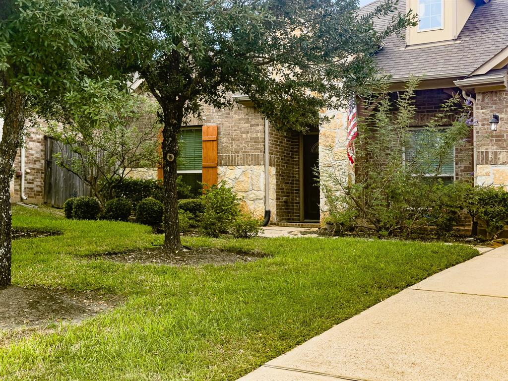 a view of a yard in front of house