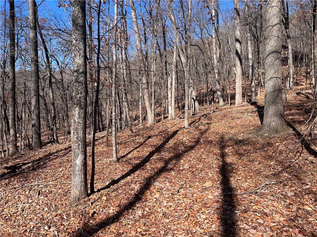 a view of a yard with trees