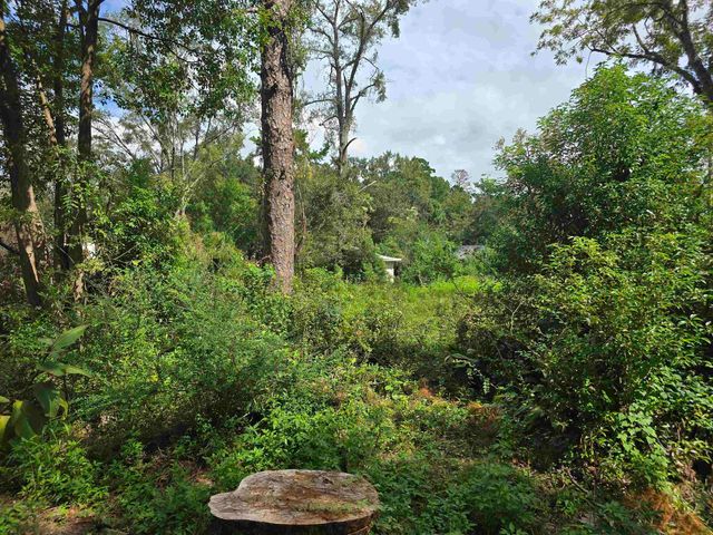 $50,000 | 1209 Tampa Drive | Buck Lake