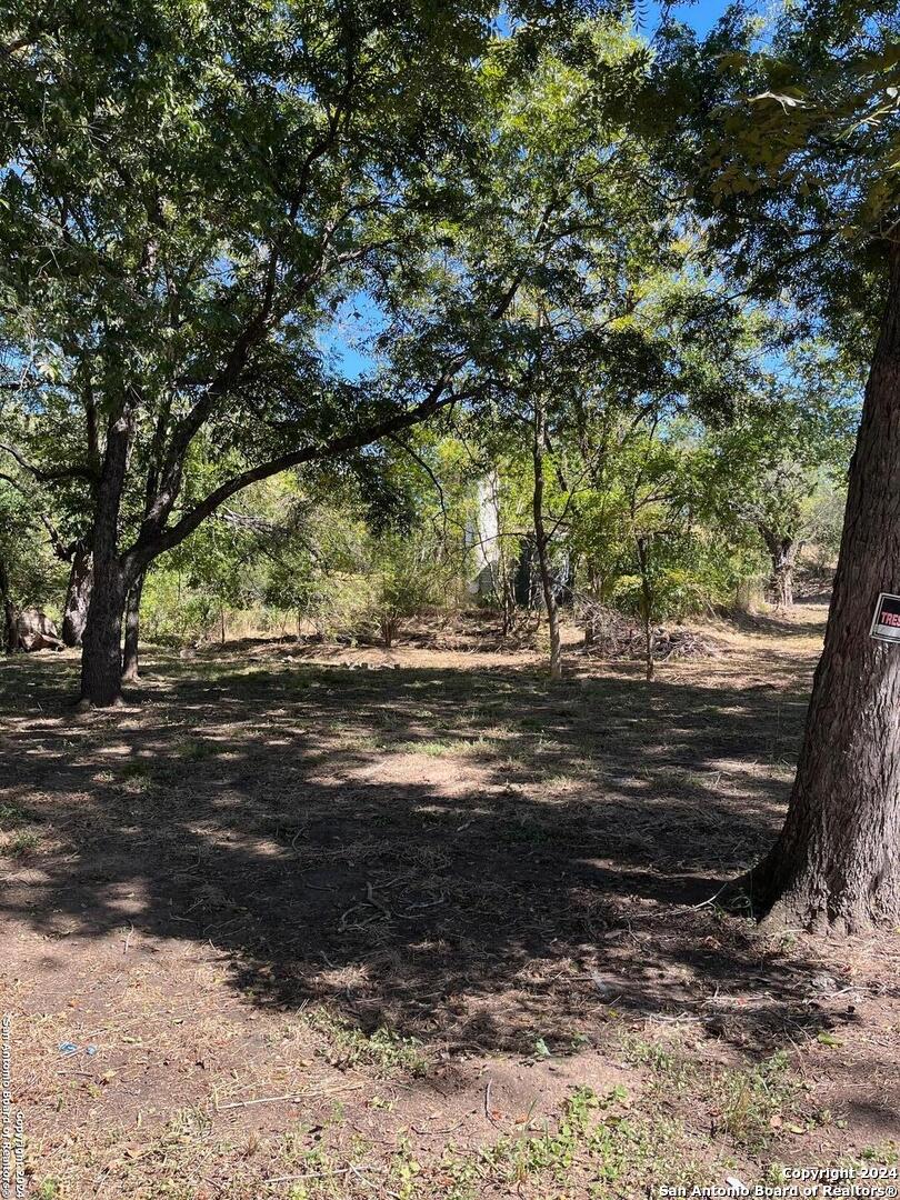 a view of dirt yard with a large tree