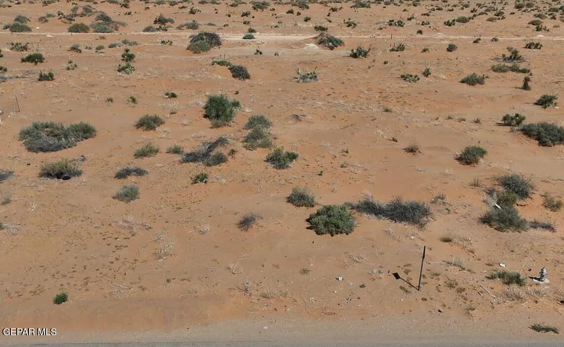 a view of a dry yard