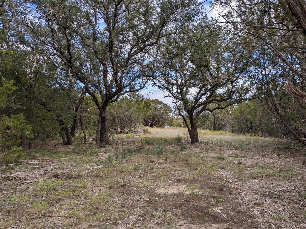 a view of a yard with a tree