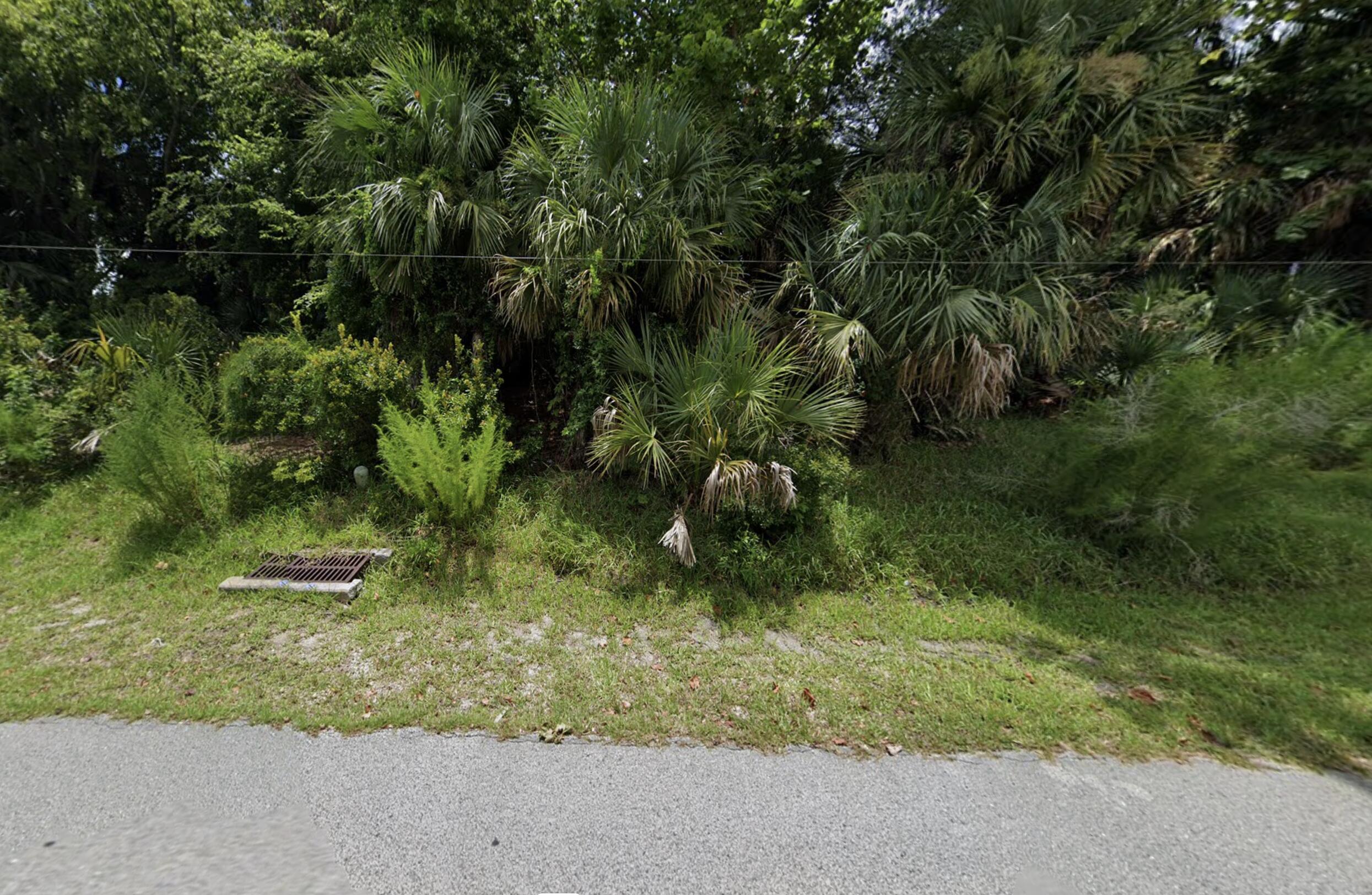 a view of a garden