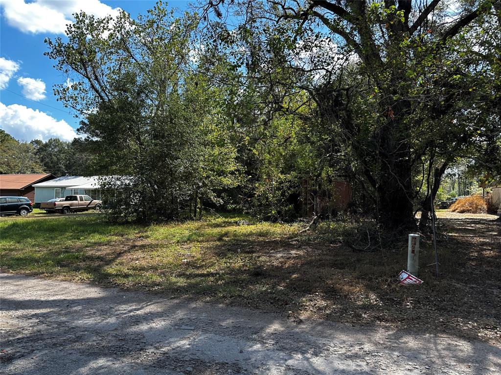 a view of a yard with plants and trees