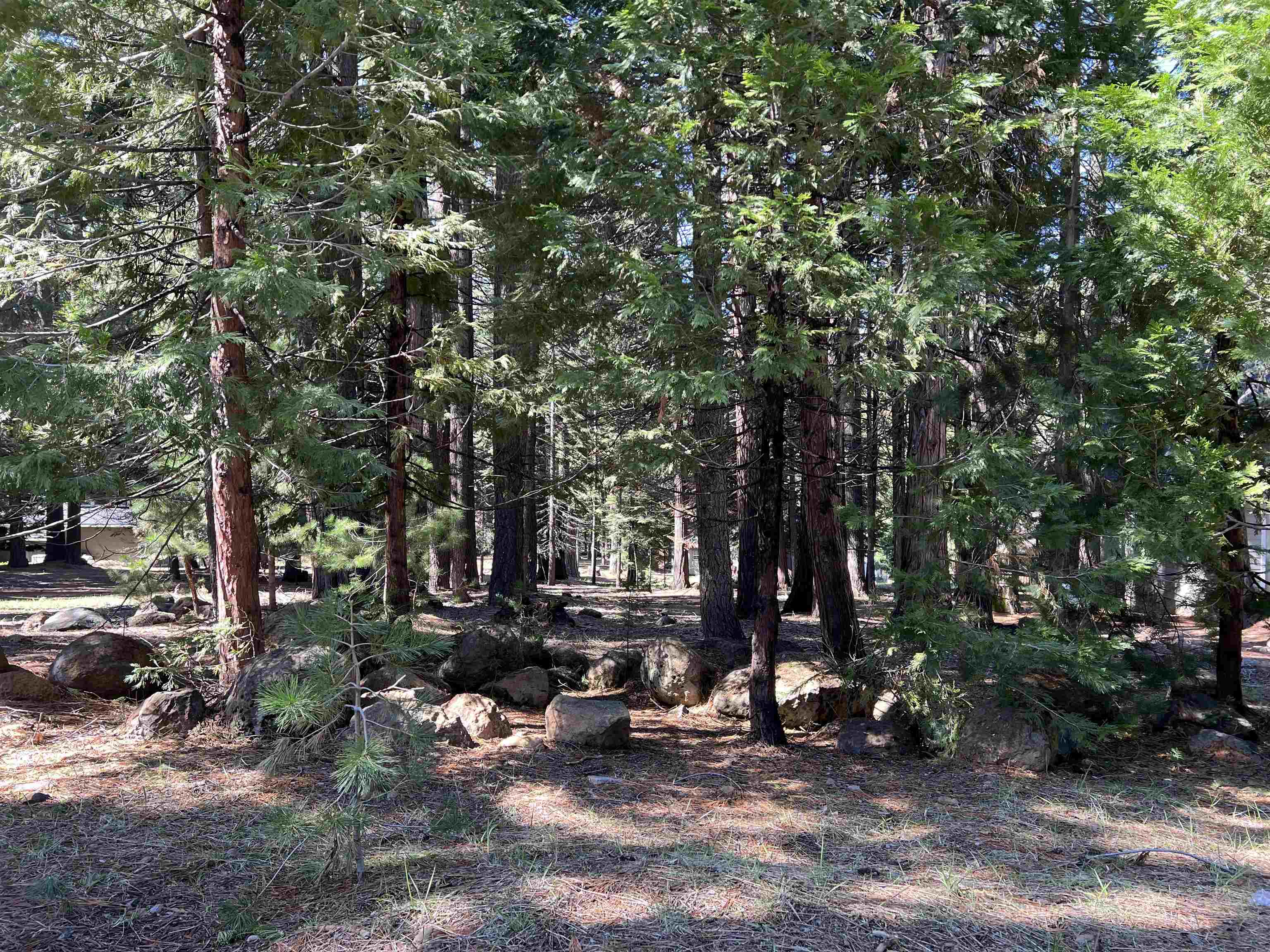 a view of a fire pit with trees in the background