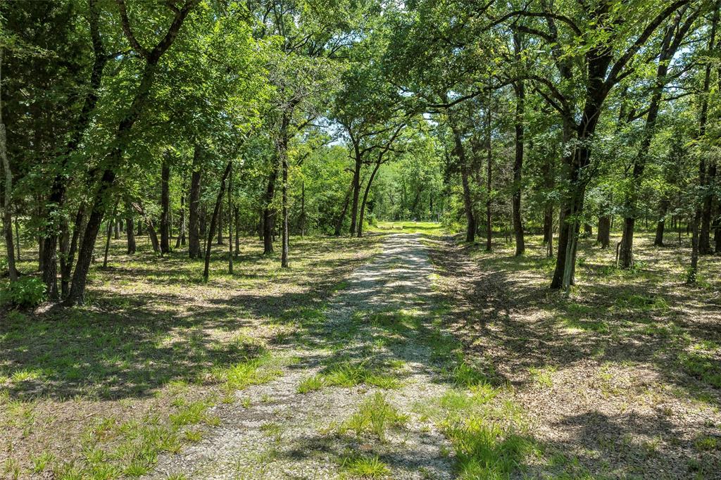 a view of outdoor space with trees all around