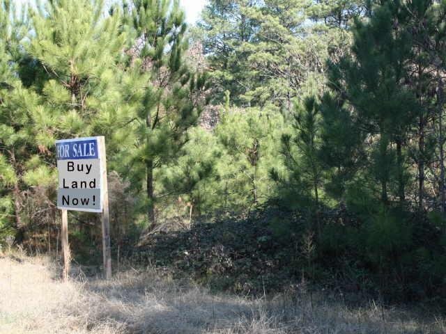 a sign that is sitting in front of a tree