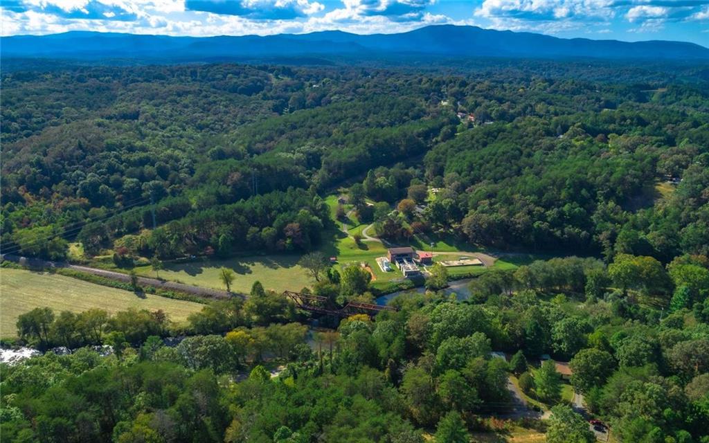 a view of a lush green forest with lots of trees