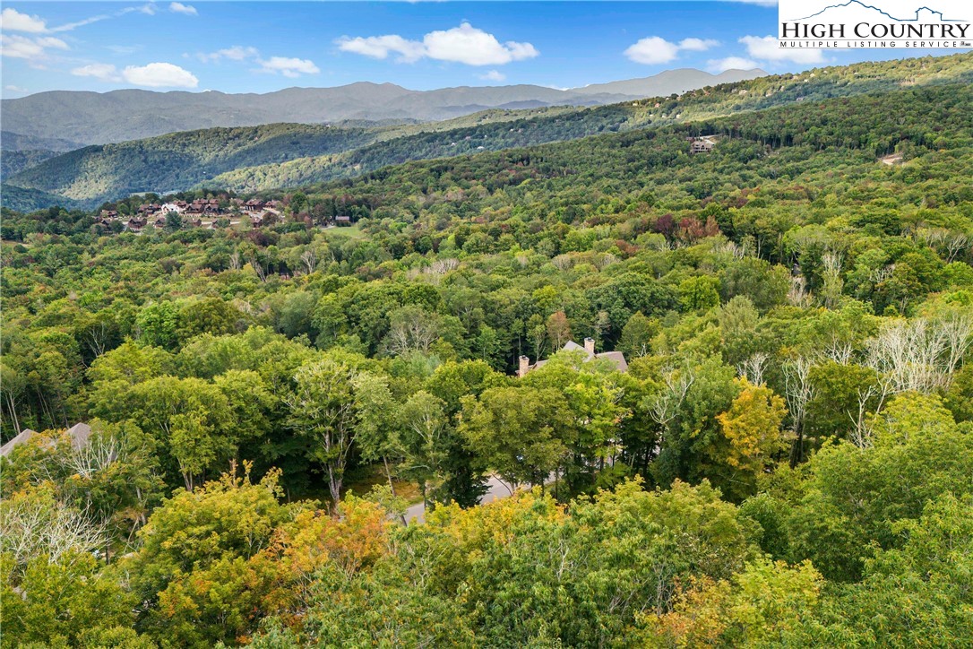 a view of a lush green forest with mountains in the background