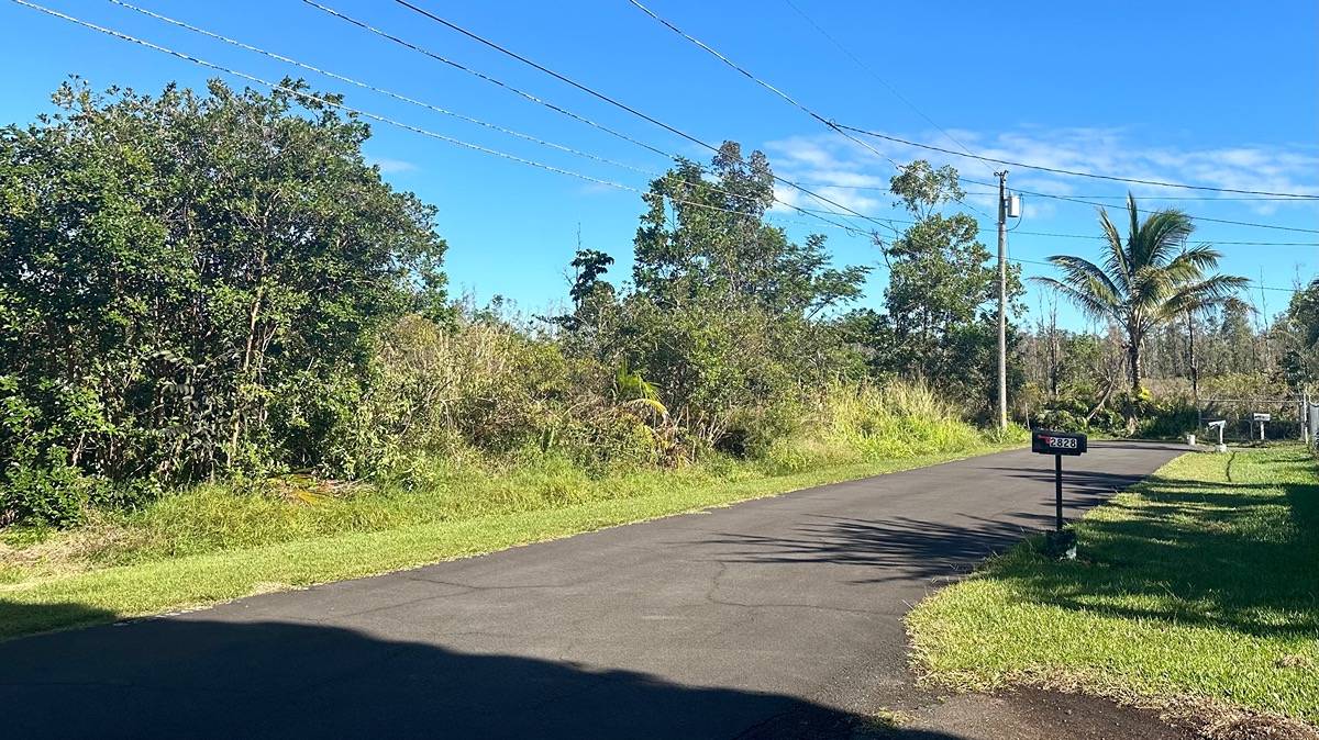 Street view of lot at end of street on the left.