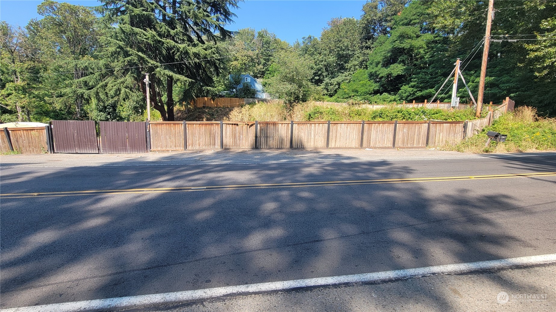 a view of a yard with a street