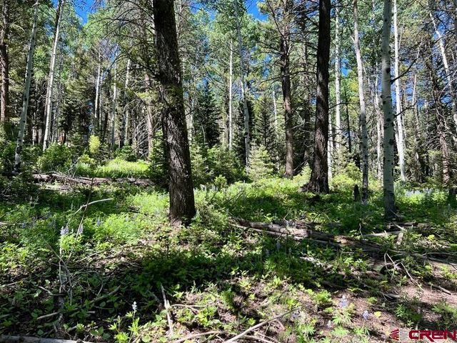 $40,000 | 457 Ute Road | Cimarron Area