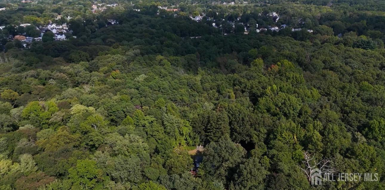 a view of a forest with a houses