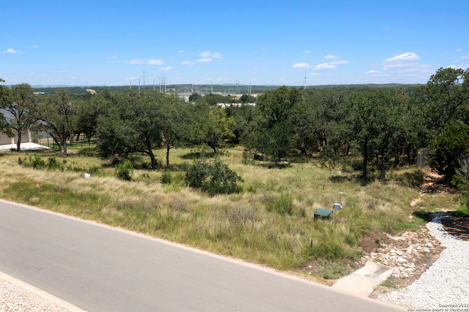 a view of a yard with a tree