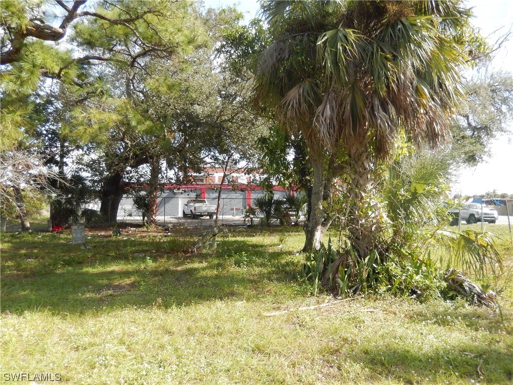 a view of a yard with an trees