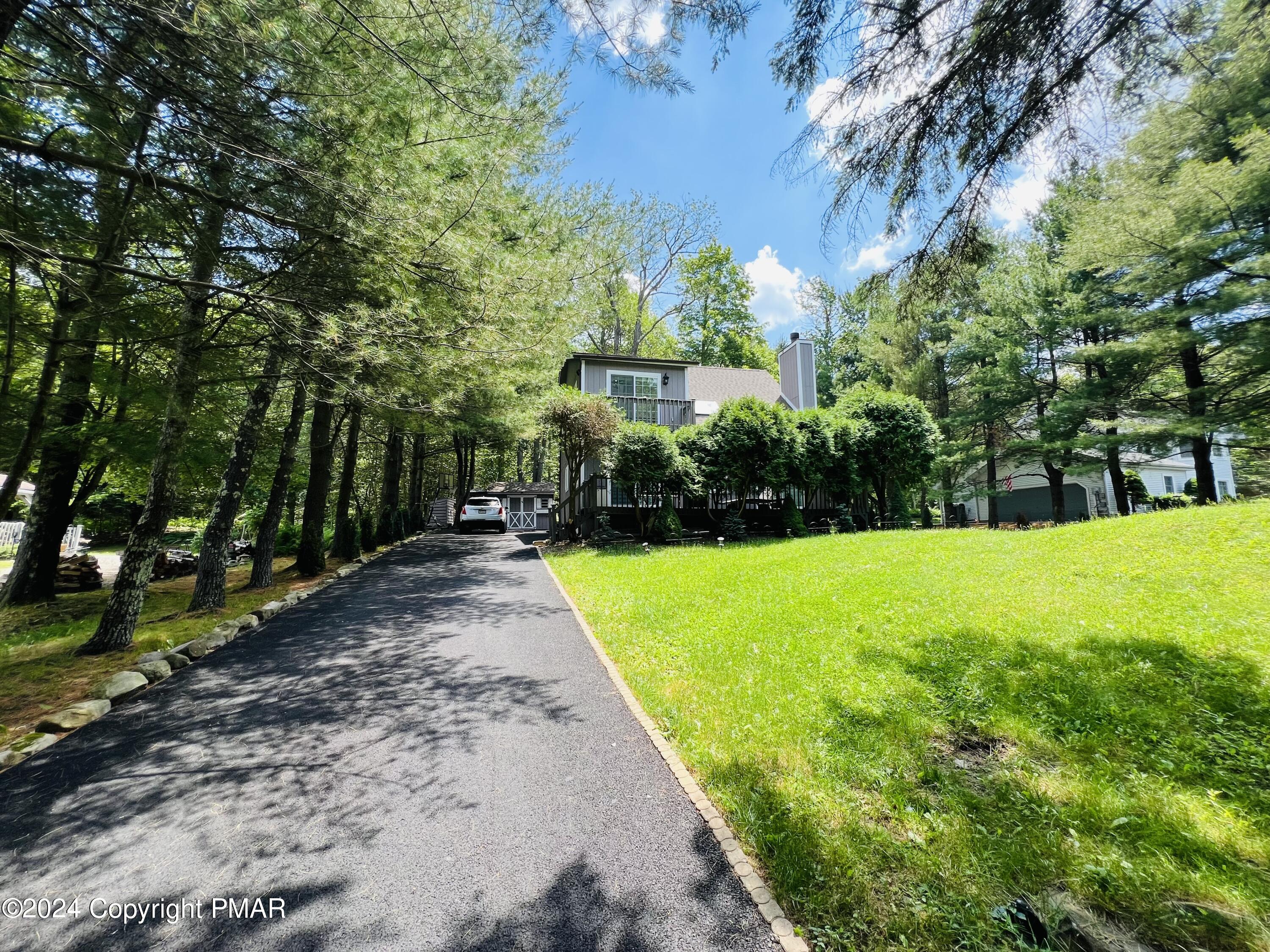 a view of a yard with plants and large trees