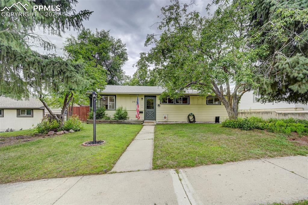 a front view of a house with a garden and tree