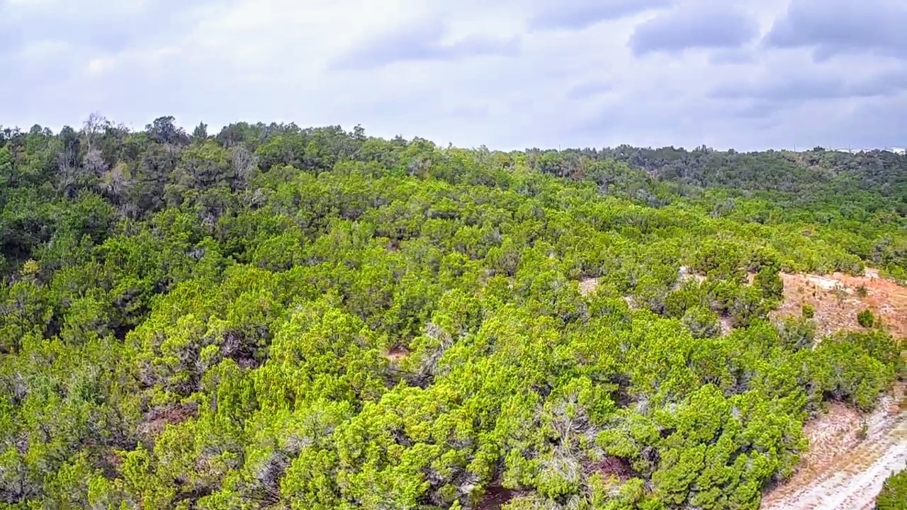 an aerial view of houses covered in trees