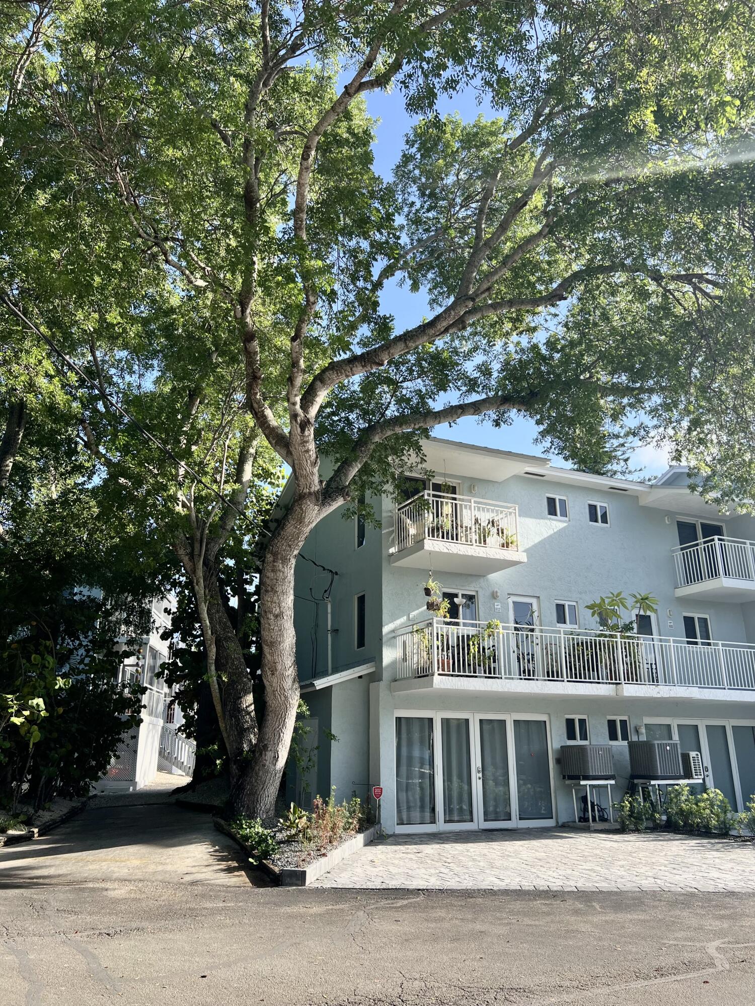 a front view of a house with a tree