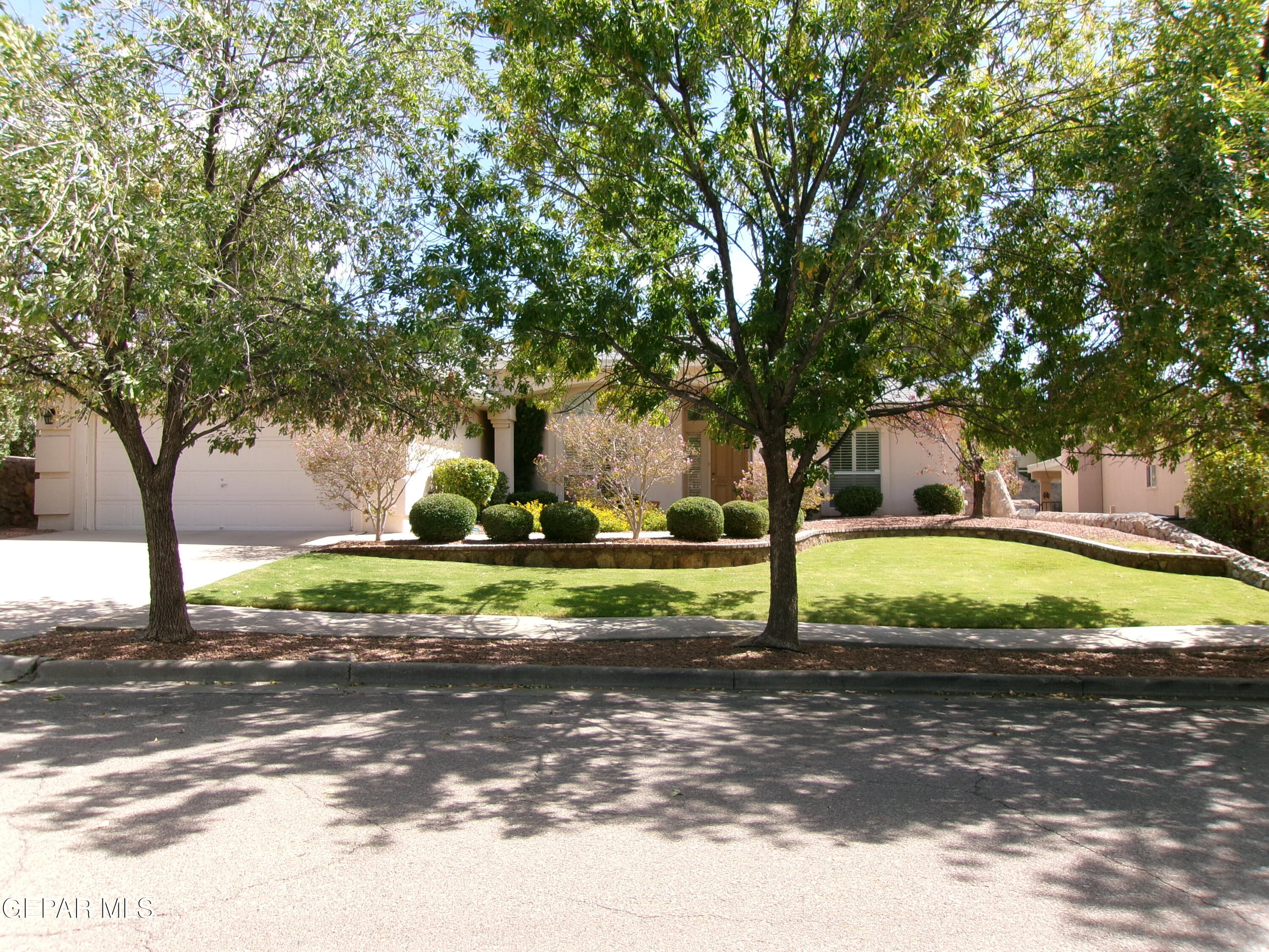 a view of a park with large trees