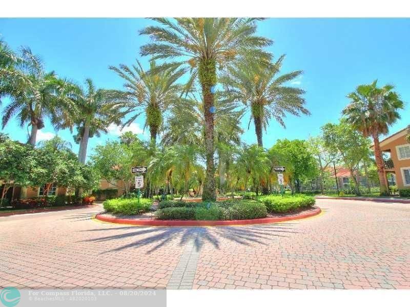 a view of a park with palm trees