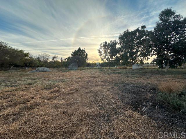 a view of a field with trees